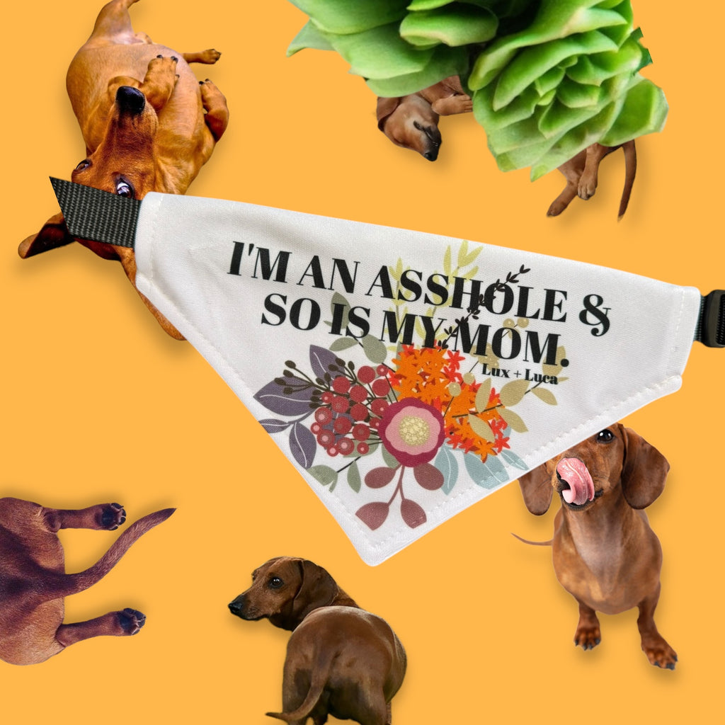 I’m an Asshole & So Is My Mom Adjustable Dog Bandana