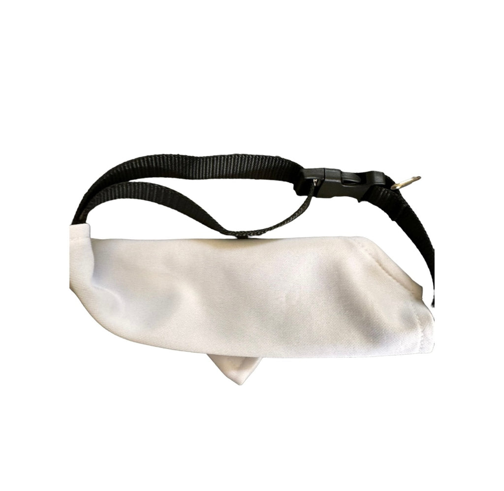 Get Your Kid Away From Me Dog Bandana Accessories
